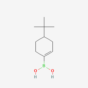 molecular formula C10H19BO2 B1518723 (4-(tert-Butyl)cyclohex-1-en-1-yl)boronic acid CAS No. 850567-91-8