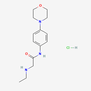 molecular formula C14H22ClN3O2 B1518733 2-(ethylamino)-N-[4-(morpholin-4-yl)phenyl]acetamide hydrochloride CAS No. 1170174-36-3