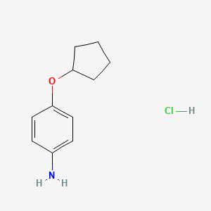 molecular formula C11H16ClNO B1518737 4-(Cyclopentyloxy)aniline hydrochloride CAS No. 1172521-22-0