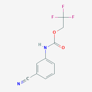 molecular formula C10H7F3N2O2 B1518783 2,2,2-trifluoroethyl N-(3-cyanophenyl)carbamate CAS No. 1087788-60-0