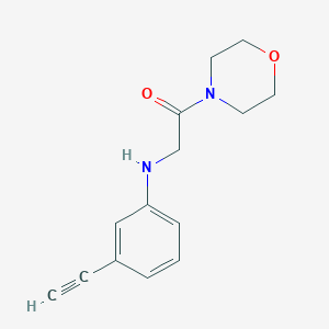 molecular formula C14H16N2O2 B1518863 2-[(3-乙炔基苯基)氨基]-1-(吗啉-4-基)乙烷-1-酮 CAS No. 1021083-28-2