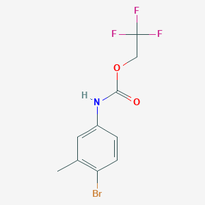 molecular formula C10H9BrF3NO2 B1518903 2,2,2-三氟乙基-4-溴-3-甲基苯基甲酸酯 CAS No. 1087788-77-9