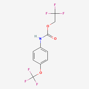 molecular formula C10H7F6NO3 B1518908 2,2,2-三氟乙基N-[4-(三氟甲氧基)苯基]氨基甲酸酯 CAS No. 1087797-85-0
