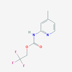 B1518910 2,2,2-Trifluoroethyl 4-methylpyridin-2-ylcarbamate CAS No. 1087798-30-8