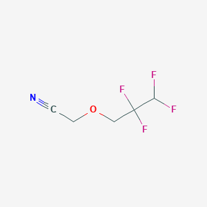 molecular formula C5H5F4NO B1519019 2-(2,2,3,3-Tetrafluoropropoxy)acetonitrile CAS No. 1039916-10-3