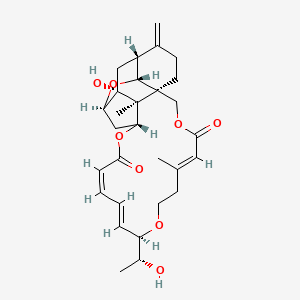 molecular formula C29H38O8 B15192065 Miophytocen B CAS No. 99764-48-4