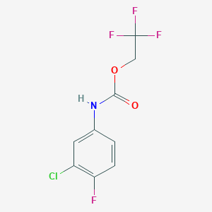 molecular formula C9H6ClF4NO2 B1519274 2,2,2-三氟乙基 N-(3-氯-4-氟苯基)氨基甲酸酯 CAS No. 1087798-01-3