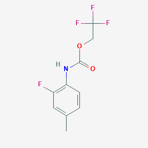 molecular formula C10H9F4NO2 B1519276 2,2,2-trifluoroethyl N-(2-fluoro-4-methylphenyl)carbamate CAS No. 1087788-97-3
