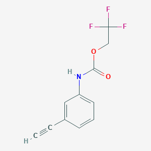 molecular formula C11H8F3NO2 B1519285 2,2,2-三氟乙基 N-(3-乙炔基苯基)氨基甲酸酯 CAS No. 1087798-02-4