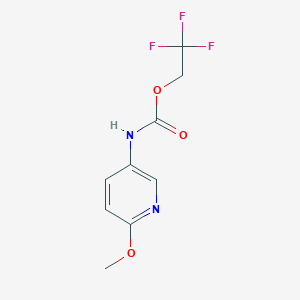 molecular formula C9H9F3N2O3 B1519296 2,2,2-trifluoroethyl N-(6-methoxypyridin-3-yl)carbamate CAS No. 1087797-95-2