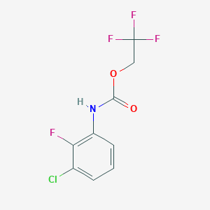 molecular formula C9H6ClF4NO2 B1519297 2,2,2-Trifluoroethyl 3-chloro-2-fluorophenylcarbamate CAS No. 1087798-10-4