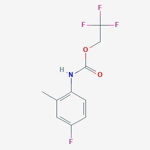 molecular formula C10H9F4NO2 B1519309 2,2,2-Trifluoroethyl 4-fluoro-2-methylphenylcarbamate CAS No. 1087788-98-4