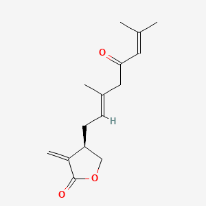 Anthecotuloide