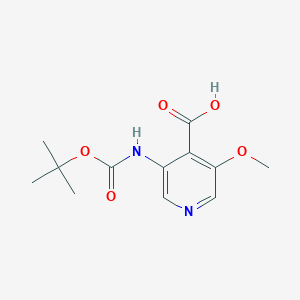 molecular formula C12H16N2O5 B1519392 3-(tert-Butoxycarbonylamino)-5-methoxyisonicotinic acid CAS No. 709666-22-8