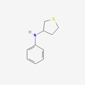 molecular formula C10H13NS B1519435 N-phenylthiolan-3-amine CAS No. 1021107-88-9