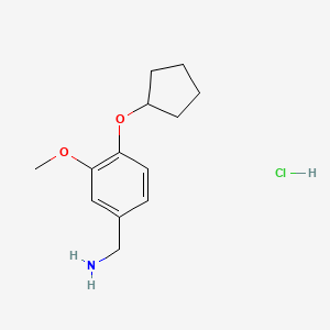 molecular formula C13H20ClNO2 B1519492 [4-(Cyclopentyloxy)-3-methoxyphenyl]methanamine hydrochloride CAS No. 1171219-66-1