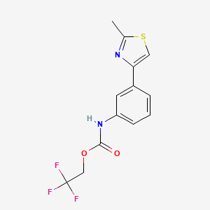 molecular formula C13H11F3N2O2S B1519519 2,2,2-三氟乙基 N-[3-(2-甲基-1,3-噻唑-4-基)苯基]氨基甲酸酯 CAS No. 1221724-56-6