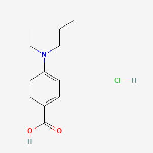molecular formula C12H18ClNO2 B1519523 4-[Ethyl(propyl)amino]benzoic acid hydrochloride CAS No. 1221724-08-8
