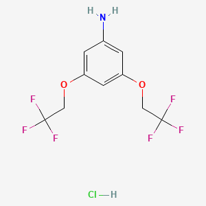 molecular formula C10H10ClF6NO2 B1519535 3,5-Bis(2,2,2-trifluoroethoxy)aniline hydrochloride CAS No. 1235438-75-1