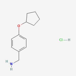 molecular formula C12H18ClNO B1519550 [4-(环戊氧基)苯基]甲胺盐酸盐 CAS No. 1235440-30-8