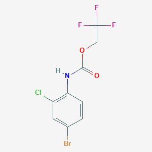 molecular formula C9H6BrClF3NO2 B1519586 2,2,2-trifluoroethyl N-(4-bromo-2-chlorophenyl)carbamate CAS No. 1097815-60-5