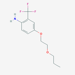 4-(2-Propoxyethoxy)-2-(trifluoromethyl)aniline