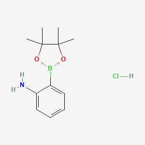 molecular formula C12H19BClNO2 B1519780 2-(4,4,5,5-四甲基-1,3,2-二氧杂硼环-2-基)苯胺盐酸盐 CAS No. 393877-09-3