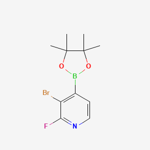 molecular formula C11H14BBrFNO2 B1519787 3-Bromo-2-fluoro-4-(4,4,5,5-tetramethyl-1,3,2-dioxaborolan-2-YL)pyridine CAS No. 1150561-78-6