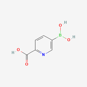 molecular formula C6H6BNO4 B1519822 5-Boronopicolinic acid CAS No. 913836-11-0
