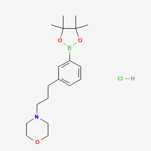 molecular formula C19H31BClNO3 B1519900 4-(3-(3-(4,4,5,5-四甲基-1,3,2-二氧杂硼烷-2-基)苯基)丙基)吗啉盐酸盐 CAS No. 1150271-72-9