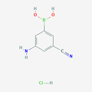 molecular formula C7H8BClN2O2 B1519960 3-Amino-5-cyanobenzeneboronic acid hydrochloride CAS No. 913835-26-4