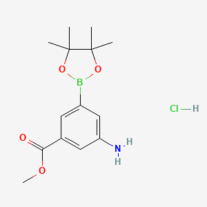 molecular formula C14H21BClNO4 B1519971 3-氨基-5-(4,4,5,5-四甲基-1,3,2-二氧杂硼环-2-基)苯甲酸盐 CAS No. 850567-50-9