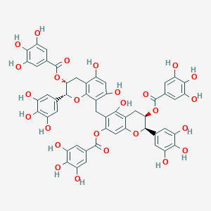 molecular formula C52H40O26 B15199729 (2R,3R)-6-(((2R,3R)-5,7-Dihydroxy-3-((3,4,5-trihydroxybenzoyl)oxy)-2-(3,4,5-trihydroxyphenyl)chroman-8-yl)methyl)-5-hydroxy-2-(3,4,5-trihydroxyphenyl)chroman-3,7-diyl bis(3,4,5-trihydroxybenzoate) 