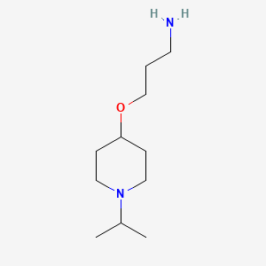 molecular formula C11H24N2O B1519973 3-[(1-异丙基哌啶-4-基)氧基]丙-1-胺 CAS No. 1171385-26-4