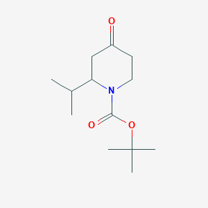 molecular formula C13H23NO3 B1519974 1-N-Boc-2-异丙基哌啶-4-酮 CAS No. 313950-41-3