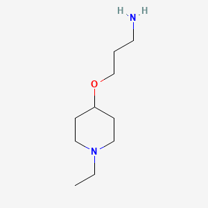 molecular formula C10H22N2O B1520056 3-[(1-Ethylpiperidin-4-YL)oxy]propan-1-amine CAS No. 1171598-96-1