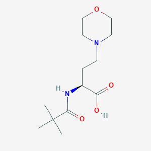 molecular formula C13H24N2O4 B15200843 (2S)-2-(2,2-Dimethylpropanamido)-4-(morpholin-4-yl)butanoic acid 