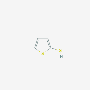 molecular formula C4H4S2 B152015 噻吩-2-硫醇 CAS No. 7774-74-5
