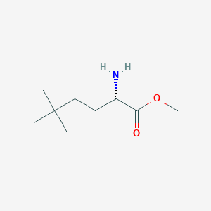 molecular formula C9H19NO2 B15201603 (S)-Methyl 2-amino-5,5-dimethylhexanoate 