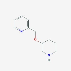 molecular formula C11H16N2O B1520193 2-((Piperidin-3-yloxy)methyl)pyridine CAS No. 933716-44-0