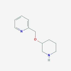 molecular formula C11H16N2O B1520193 2-((Piperidin-3-yloxy)metil)piridina CAS No. 933716-44-0