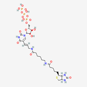 (((2R,3S,4R,5R)-5-(2,4-dioxo-5-((E)-3-(6-(5-((3aS,4S,6aR)-2-oxohexahydro-1H-thieno[3,4-d]imidazol-4-yl)pentanamido)hexanamido)prop-1-en-1-yl)-3,4-dihydropyrimidin-1(2H)-yl)-3,4-dihydroxytetrahydrofuran-2-yl)methyl)triphosphoric acid