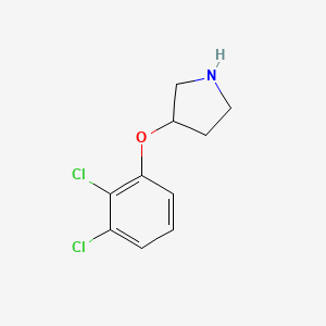 molecular formula C10H11Cl2NO B15202878 3-(2,3-Dichlorophenoxy)pyrrolidine 