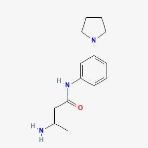 molecular formula C14H21N3O B1520427 3-amino-N-[3-(pyrrolidin-1-yl)phenyl]butanamide CAS No. 1184785-26-9