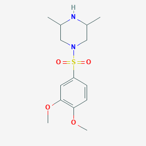 1-(3,4-Dimethoxy-benzenesulfonyl)-3,5-dimethyl-piperazine