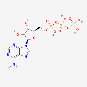 molecular formula C11H18N5O13P3 B15206465 N6-Methyladenosine 5'-triphosphate 