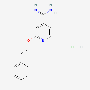 molecular formula C14H16ClN3O B1520725 2-(2-苯乙氧基)吡啶-4-甲酰胺盐酸盐 CAS No. 1240526-97-9