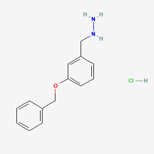 molecular formula C14H17ClN2O B1520752 (3-苄氧基-苄基)-肼盐酸盐 CAS No. 40051-69-2