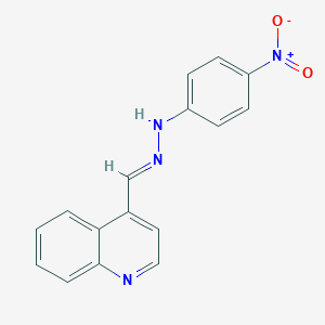 4-nitro-N-[(E)-quinolin-4-ylmethylideneamino]aniline