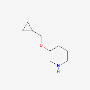 3-(Cyclopropylmethoxy)piperidine